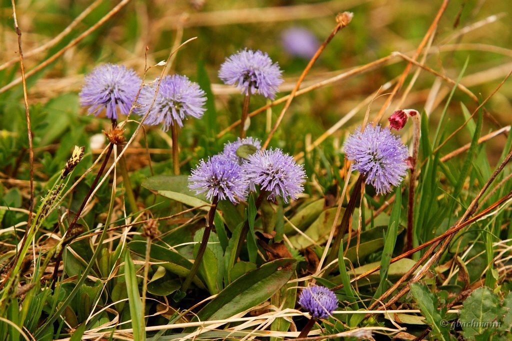 20090612_124_raw